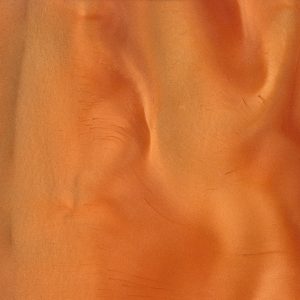 Coral Pigment – P1330 garage floor coating product image