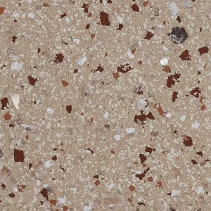 ammonite flake fb 5017